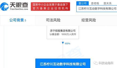 蘇寧控股布局數字文化新領域 檸川互動數字公司成立，拓展健身休閑與數字文創(chuàng)
